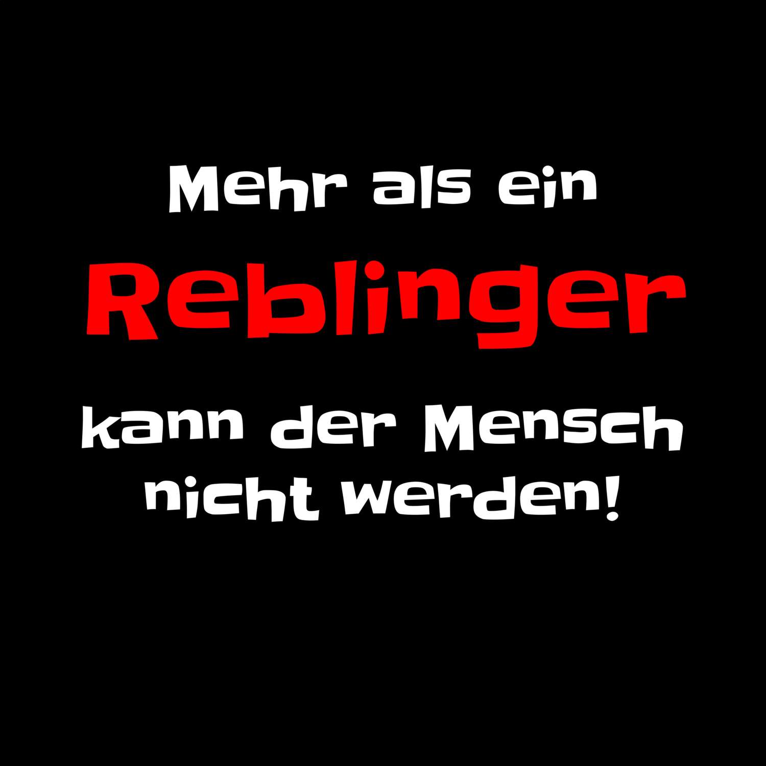 Rebling T-Shirt »Mehr als ein«