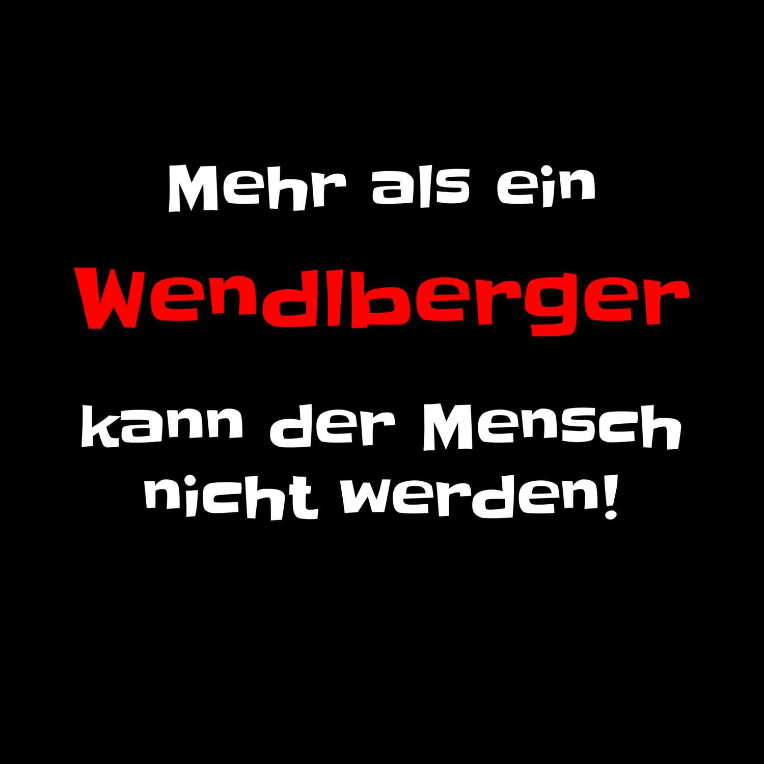 Wendlberg T-Shirt »Mehr als ein«