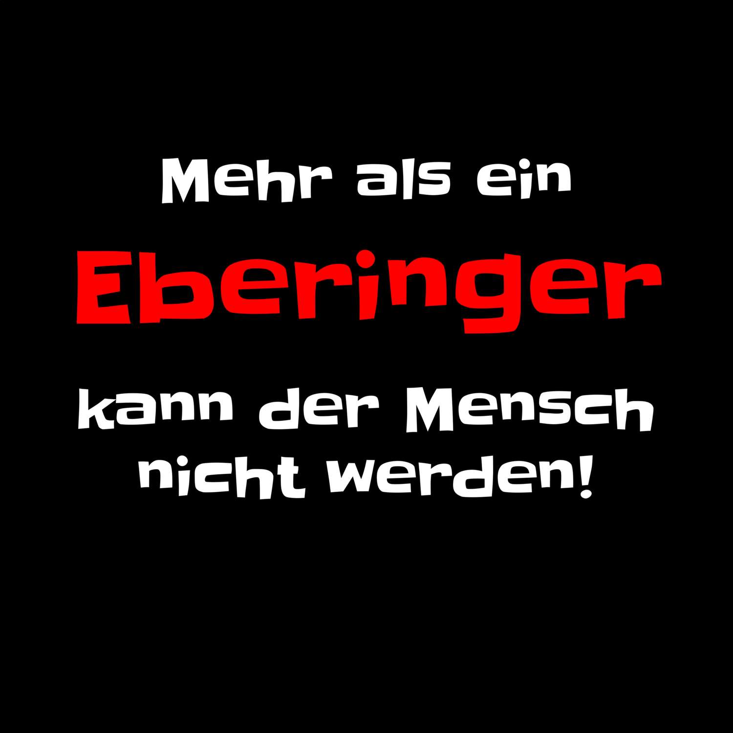 Ebering T-Shirt »Mehr als ein«