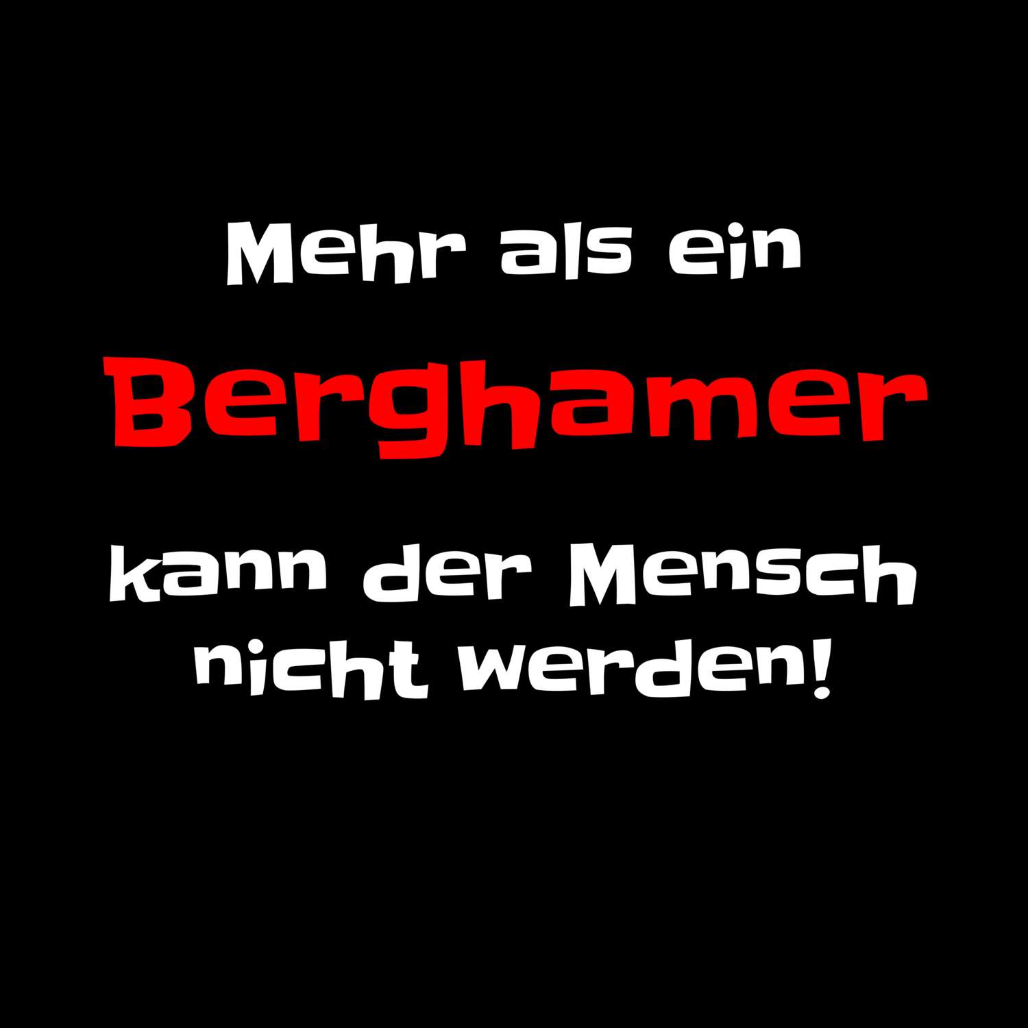 Bergham T-Shirt »Mehr als ein«