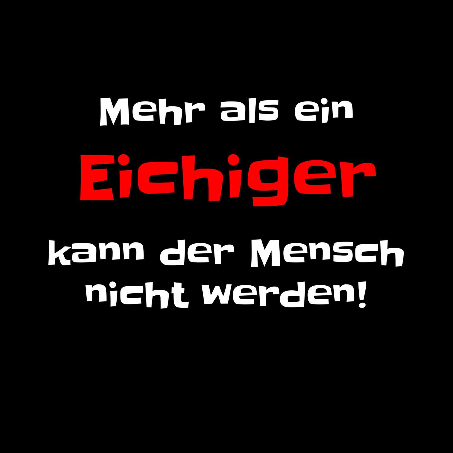 Eichig T-Shirt »Mehr als ein«