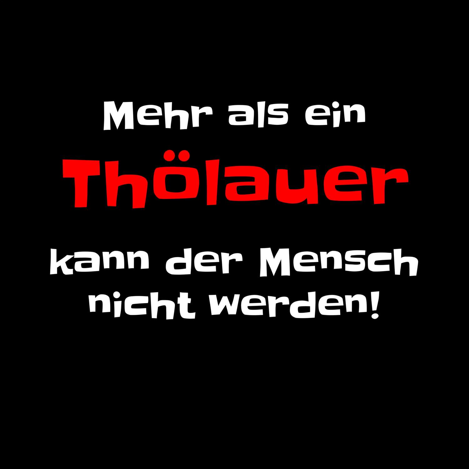 Thölau T-Shirt »Mehr als ein«