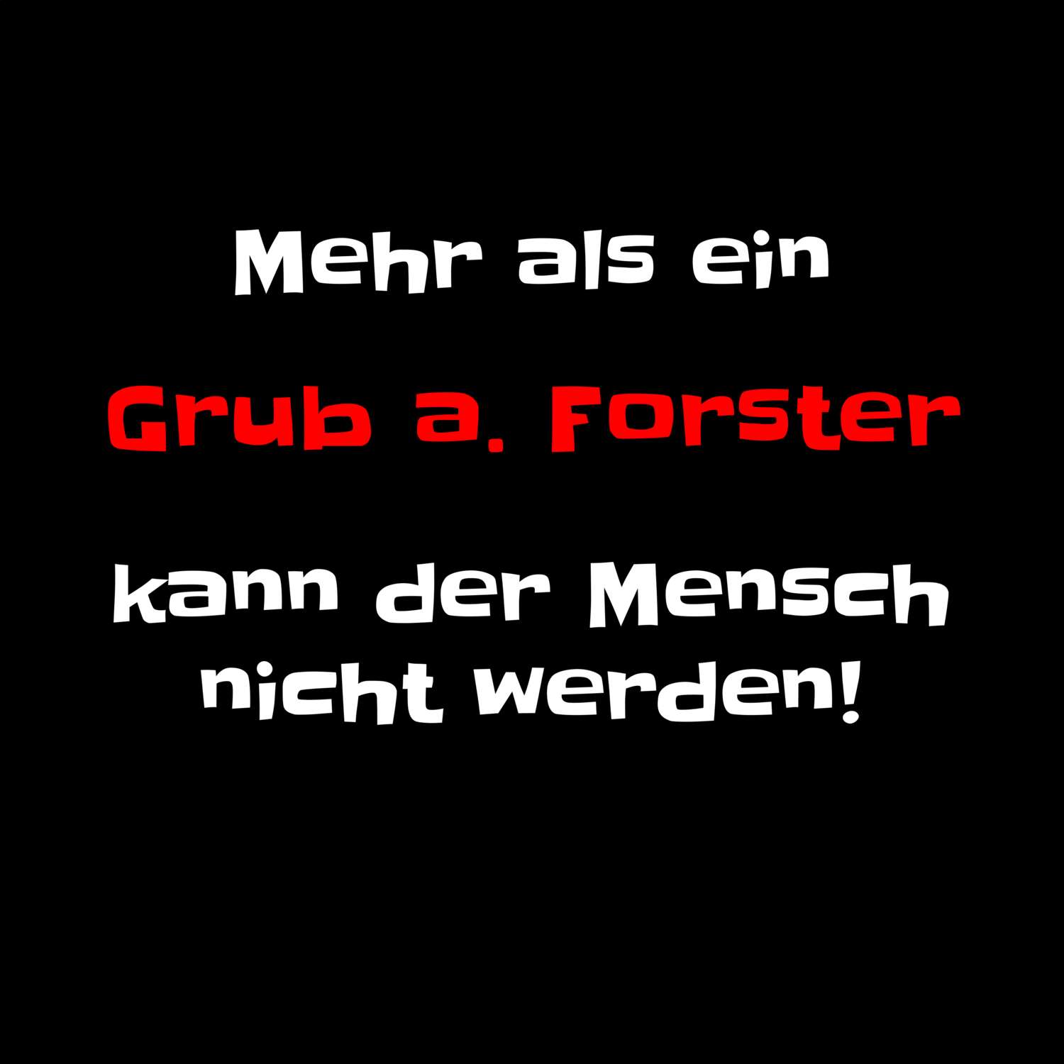 Grub a. Forst T-Shirt »Mehr als ein«