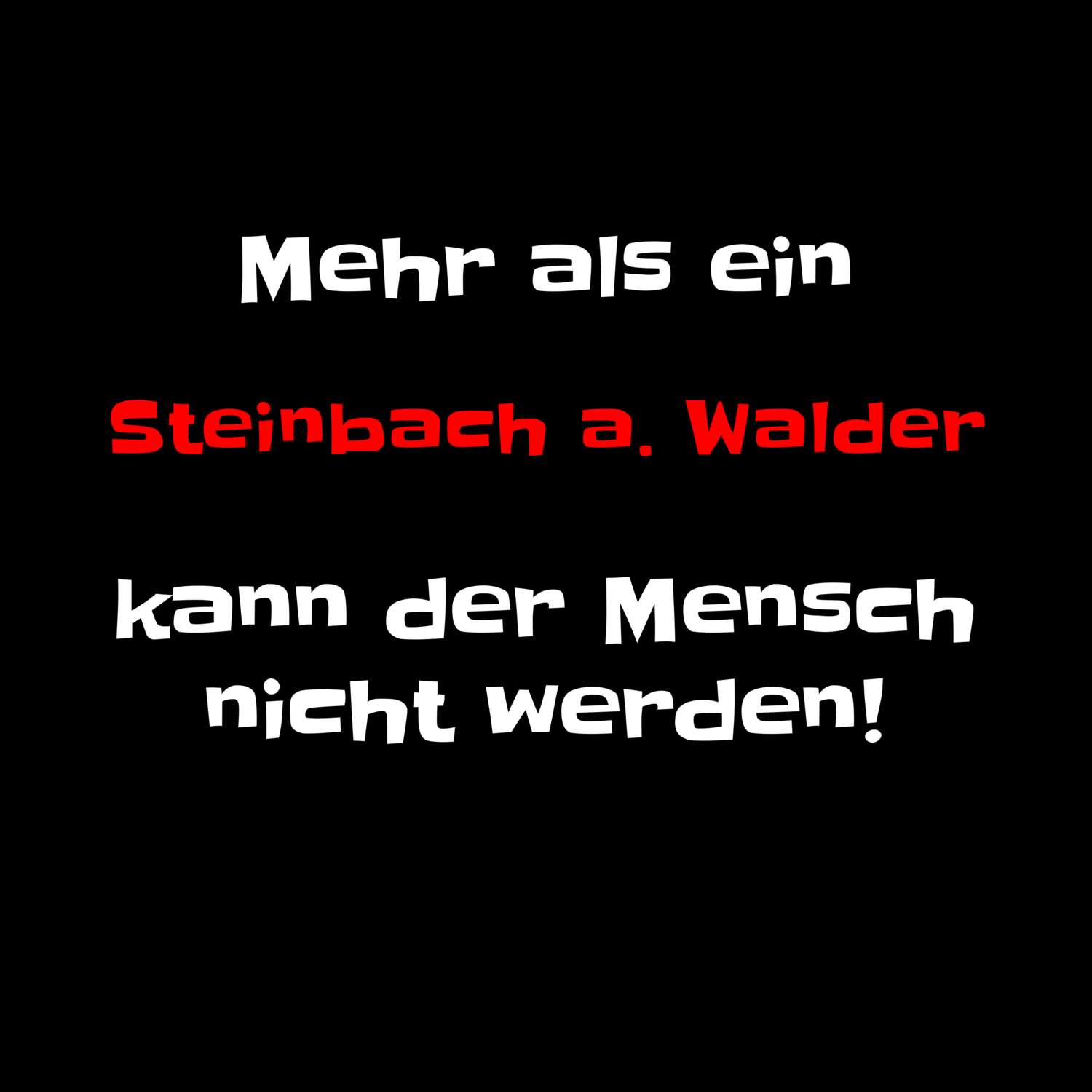 Steinbach a. Wald T-Shirt »Mehr als ein«