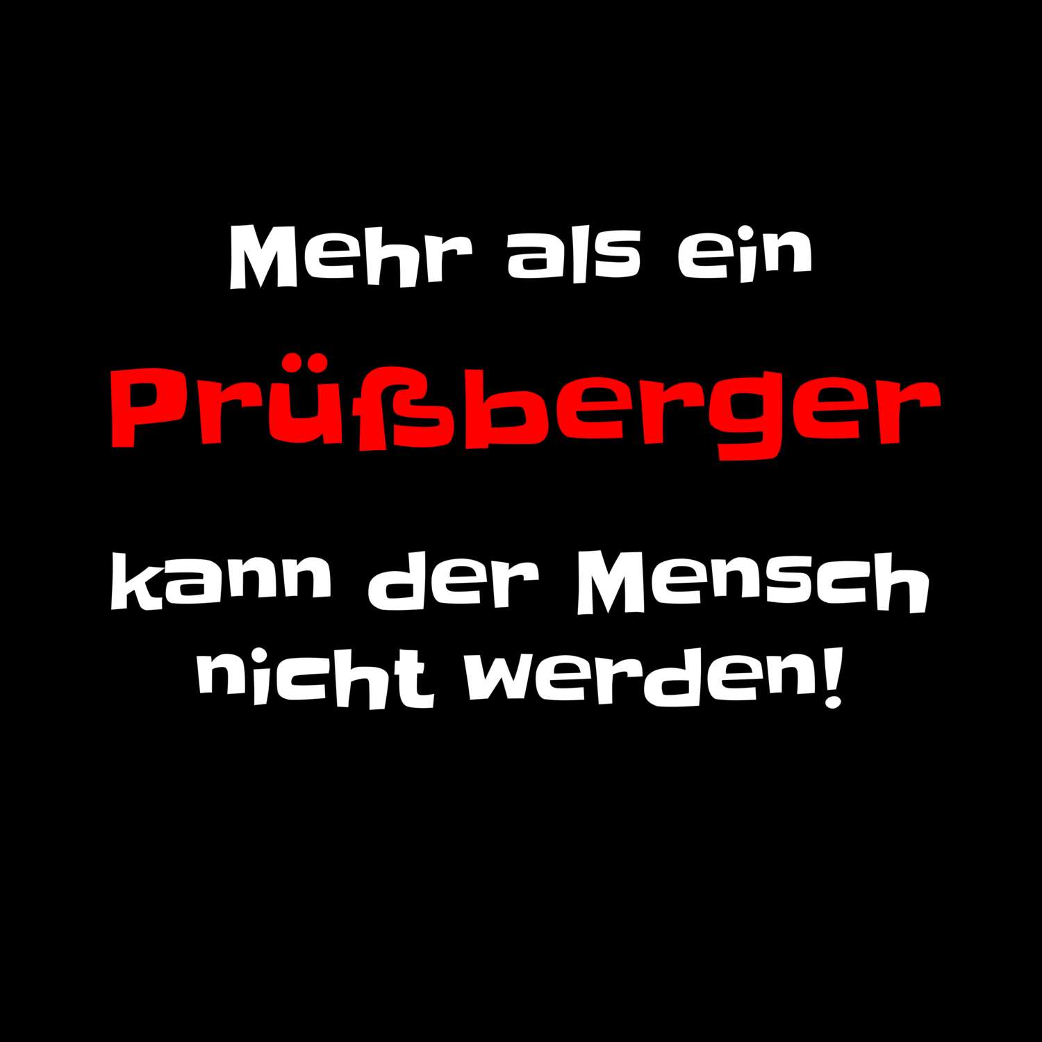 Prüßberg T-Shirt »Mehr als ein«